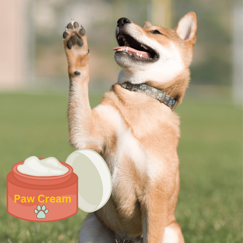 Dog lifting a paw, with paw cream displayed beside it