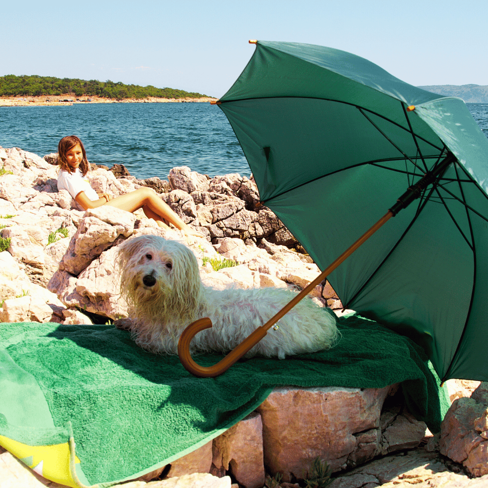 A dog staying cooler in the shade on a hot summer day